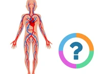 Klassenquiz: Natur- Der menschliche Körper