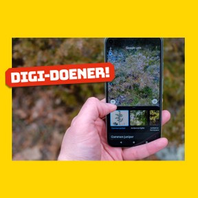 Digi-doener: Zoek het plaatje!