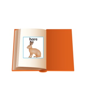 Use glossaries/dictionaries to check definitions