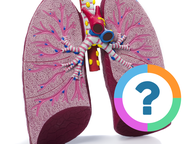 Klassenquiz: Woordenschat - Organen