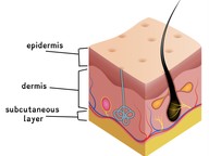Your Skin