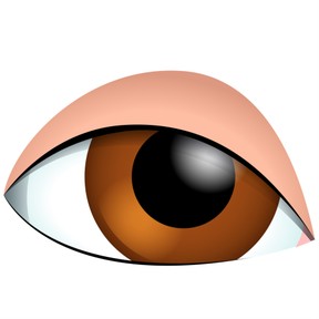 Distinguish your own point of view from the author's