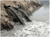 Human Impacts on Earth's Systems