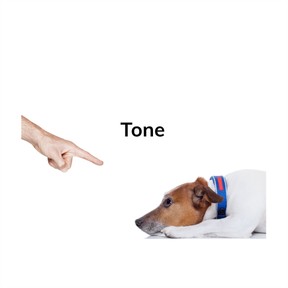Word choice and tone