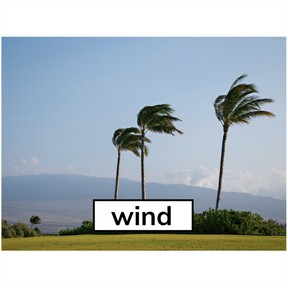 Print the letter Ww