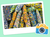 Foto van de dag: Flora & Fauna #018