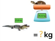 Optellen met kommagetallen met 1 en 2 decimalen
