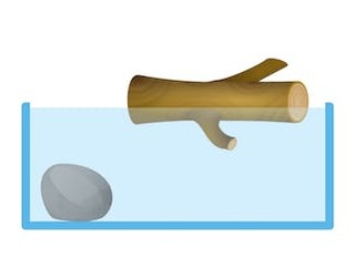 Schwimmen oder sinken