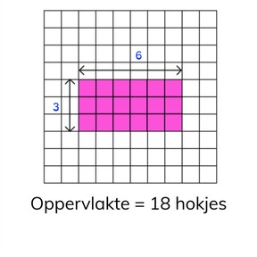 Berekenen van een oppervlakte met hokjes