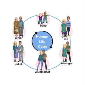 The life cycle and metamorphosis