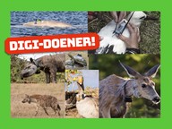 Digi-doener: Digitale dierenbescherming