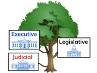 Explain the 3 Branches of Government