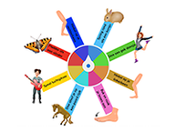 Energizers: Korte opdrachten