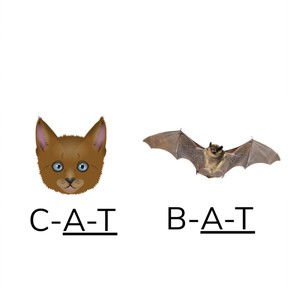 Spell words with common spelling patterns 