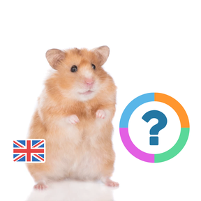 Klassenquiz: Engels - De dieren