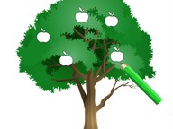 Draw quantities to 5