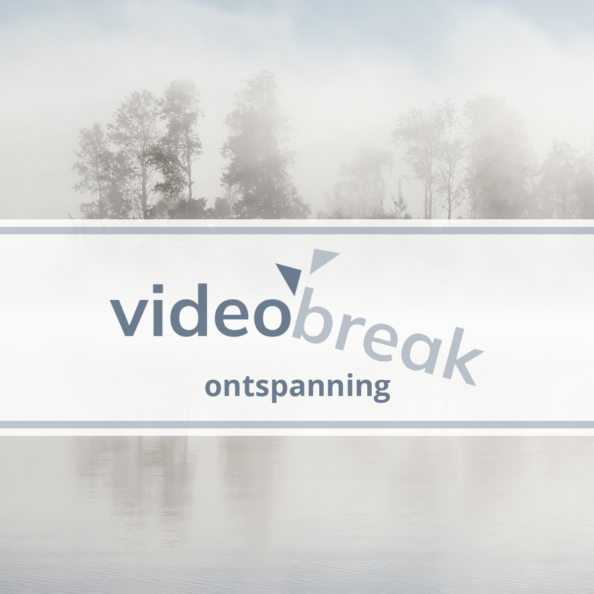 Videobreak