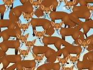 Warm up: Find the hidden object (fall-themed)