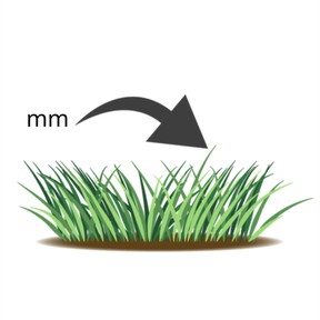 Weten wat een millimeter is