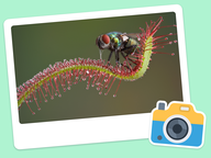 Foto van de dag: Flora & Fauna #014