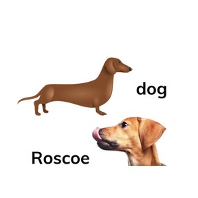 Use common and proper nouns