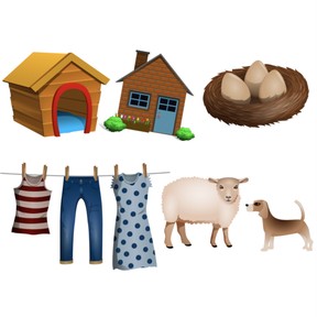 Comparing needs of plants & animals to the needs of humans