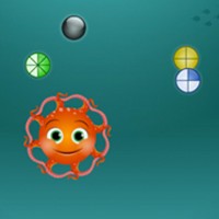 Bubble: Fractions