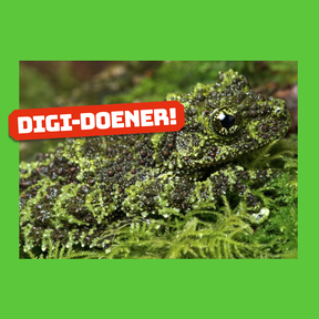 Digi-doener: Mimicry camouflage