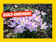 Digi-doener: Lente!