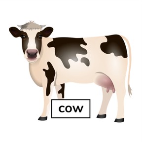 Isolate and pronounce sounds in single-syllable words