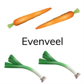 Herkennen van evenveel t/m 5