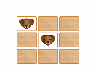 Memory: Animals