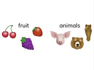 Sort common objects into categories 