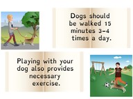 Refer to the informational text to answer questions