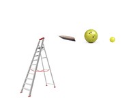 Gravity and motion