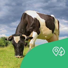 Terra Mission: Themenbereich 6 - Landwirtschaft (Alter 11-14 Jahre)