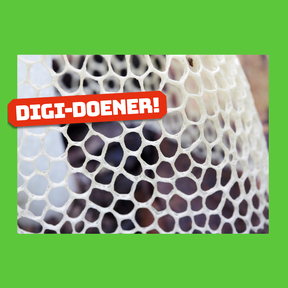 Digi-doener: Bouwen als een paddenstoel