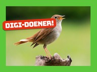 Digi-doener: Vogels kijken doe je met je oren