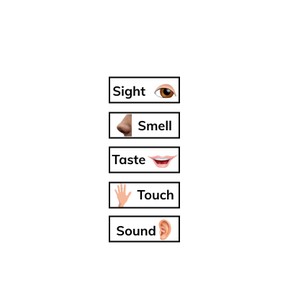 Identify sensory details