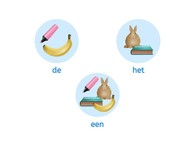 Lidwoord (begrip)