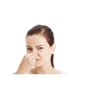 How does my nose work?