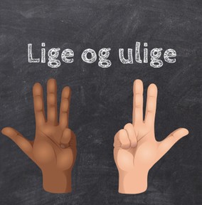 Lige og ulige