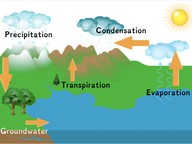 The Water Cycle