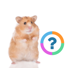 Klassenquiz: Engels - De dieren