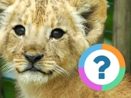 Quiz pour la classe: Faits sur les animaux