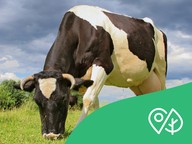 Terra Mission: Themenbereich 6 - Landwirtschaft (Alter 8-10 Jahre)