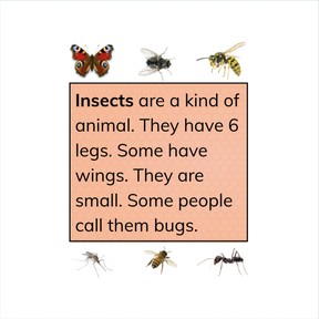 Unknown words in informational text