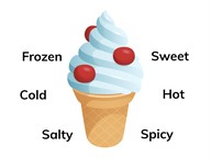 Real-life connections between words and their use