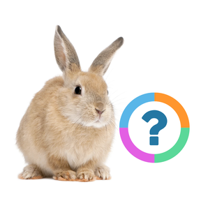 Klassenquiz: Dieren - Huisdieren