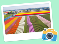 Foto van de dag: Flora & Fauna #009